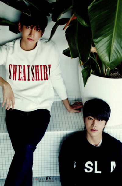 #东方神起# 【扫图】[SCAN] 东方神起 TVXQ season's greetings 【2015 Calendar 小卡部分】 高清扫图12P 扫图by 包包 修图by 桃子 更多+打包下载请戳：O网页链接