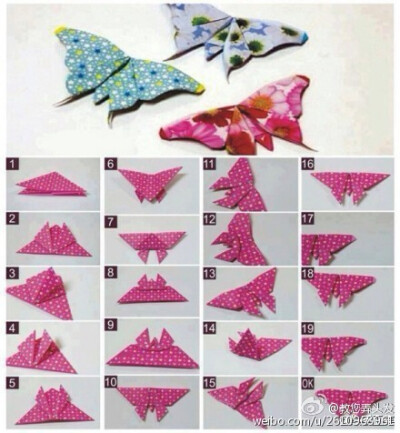 【9款蝴蝶的折纸教程】简直美呆了！！ 喜欢请关注@教您弄头发