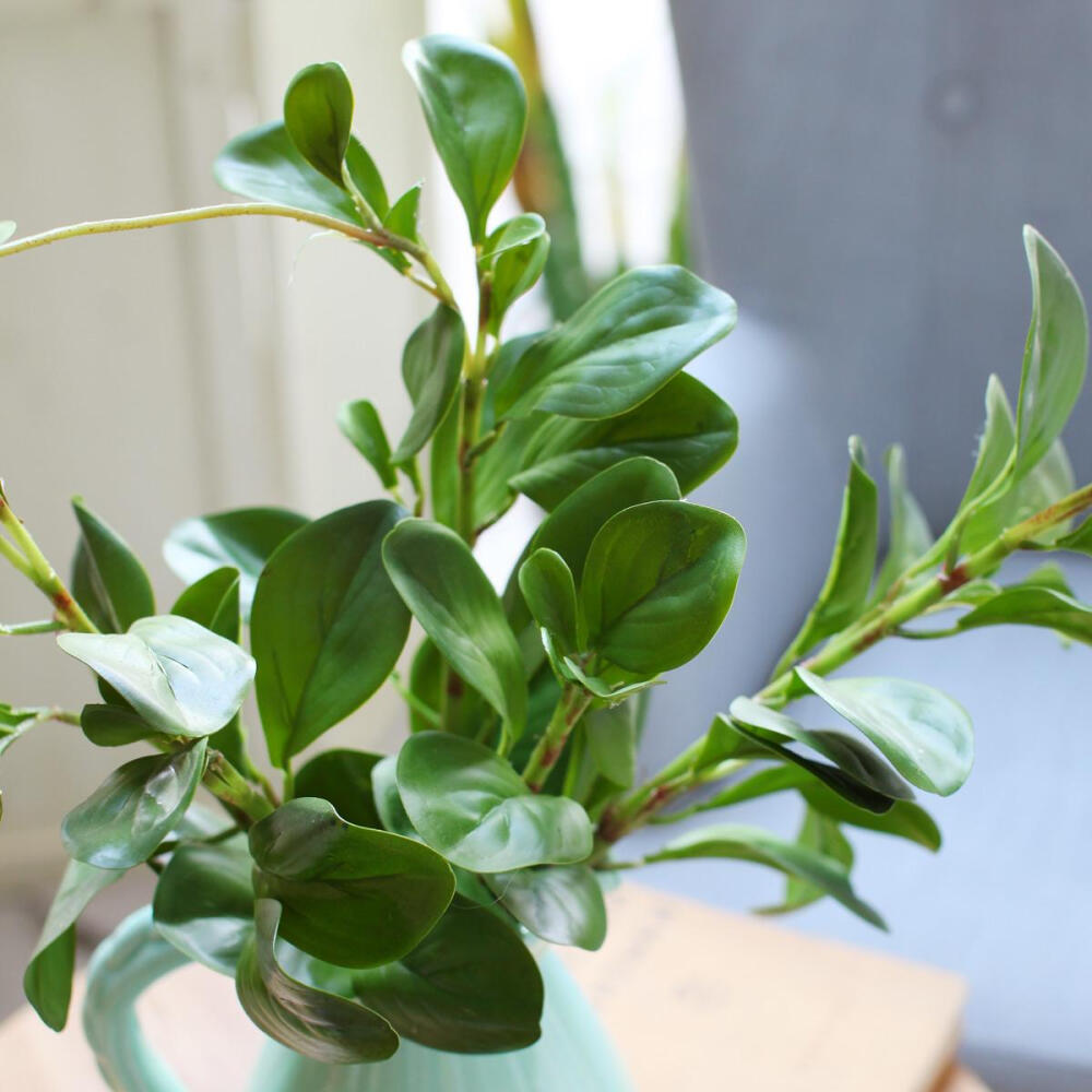 仿真花豆瓣叶 高档仿真绿色植物 假花绢花 家居客厅软装饰品摆设