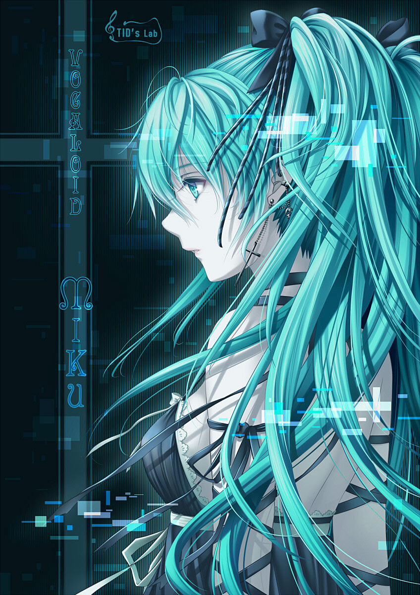 Tags: Hatsune Miku, Vocaloid, Pixiv, Tidsean