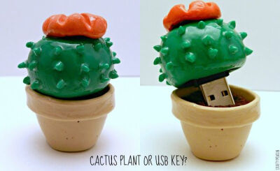 Clay cactus plant &amp;amp; Sneaky USB flash drive. // stop it. too awesome.