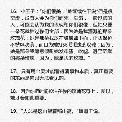 经典作品《小王子》中那些净化心灵的唯美句子。