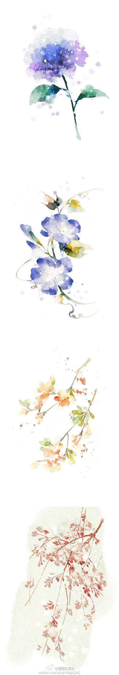 花的练习-清茗_原创,插画,水彩,每日一涂,小清新,花卉,植物