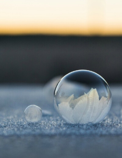 冰雪中的泡泡梦幻凝结过程（GIF动图）当泡泡处于气温零下时，每个泡泡都会逐渐形成独特的花纹。| 美国华盛顿摄影师Angela Kelly