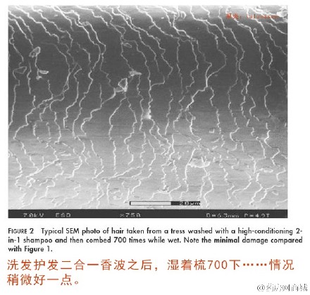 #护发# 【读图】头发湿的时候梳头，头发遭了多少罪？