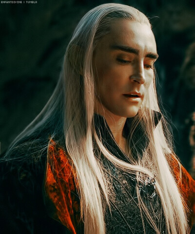 Lee Pace 佩佩