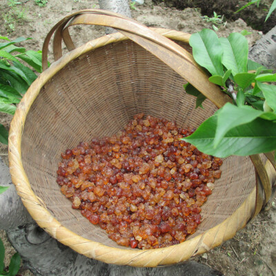 【野生桃胶】{农家自摘原产地直销 一级天然野生食用水蜜桃桃胶 桃花泪 干净少杂质 250克}YIN