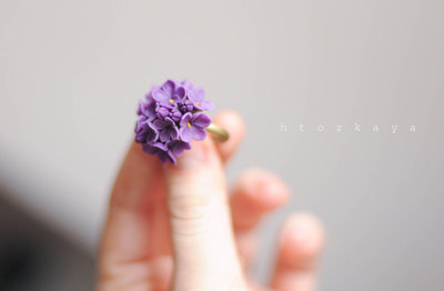 亲爱的我还买不了大钻戒，但请你把这束花戴在手上。「预定」{ 唯美花嫁°} 乌克兰设计师手工饰品 紫丁香戒指