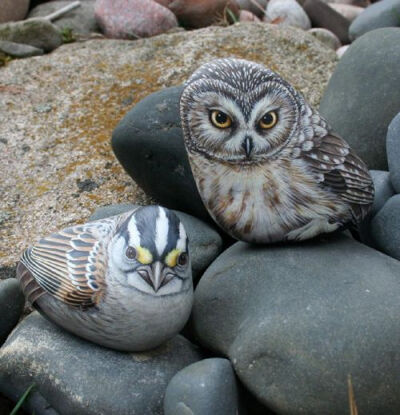 Owl and a bird Painted on Stones by Marianne Vick