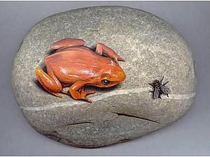 Realistic Frog and Fly Painted on a Rock - Роспись камней в стиле гиперреализма | Ярмарка Мастеров - ручная работа, handmade