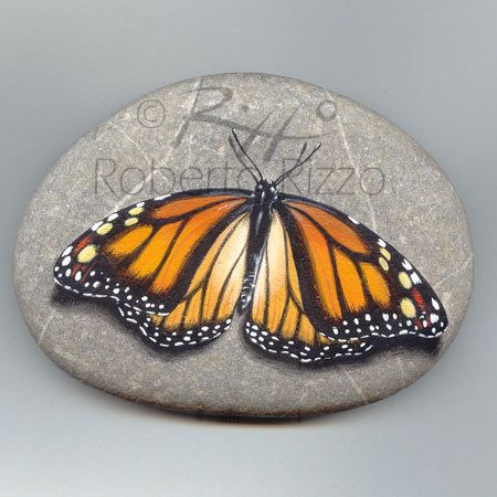 Butterfly hand painted rock | Fine Art by Roberto Rizzo www.robertorizzo.com