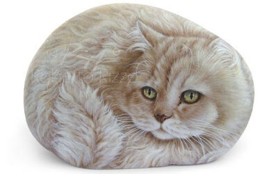 Custom+Detailed+Cat+Portraits+on+Sea+Rocks+by+RobertoRizzoArt,+€120.00