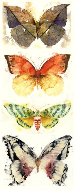 ARTFINDER: Butterflies and Moths by Kate Osborne - I did a series of these Butterflies and Moths, starting with indirect watercolour techniques, and then working back into the images. Again they were …