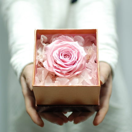 红玫瑰花礼盒永生花保鲜花全国杭州情人节上海鲜花速递生日鲜花