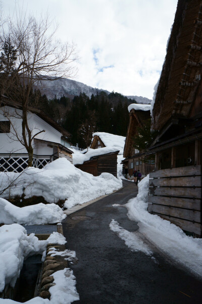 【雪村温馨夜景】白川乡合掌村 (4)