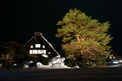 【雪村温馨夜景】白川乡合掌村 (15)