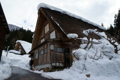 【雪村温馨夜景】白川乡合掌村 (5)