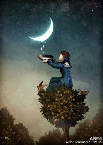 月色太美太温柔~【Christian Schloe · 图】