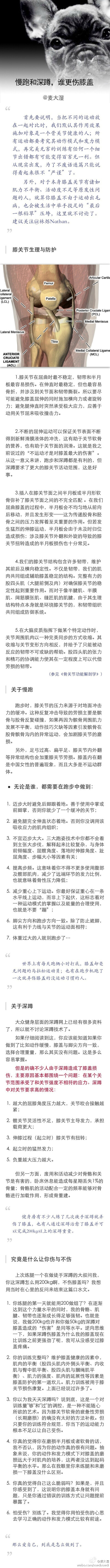 慢跑和深蹲谁更伤膝盖