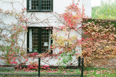 The well house by Paul Messerschmidt Fethcham, England