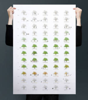 「一棵树的一年」创意台历本，52周每周一个故事。春夏秋冬，人聚人散，唯有时间默默窥视，未曾走开。丨设计者RМаксимом