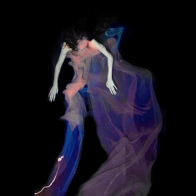 Gabriele Viertel的水下摄影作品