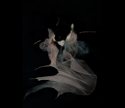 Gabriele Viertel的水下摄影作品