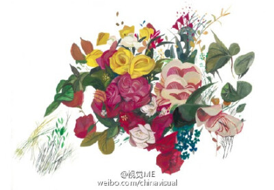 美国插画家Jon Lau创意植物 O网页链接