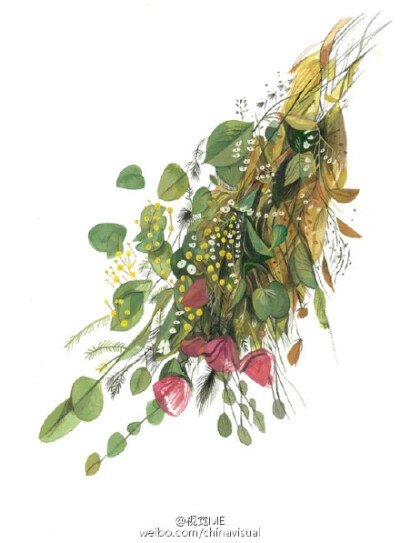 美国插画家Jon Lau创意植物 O网页链接