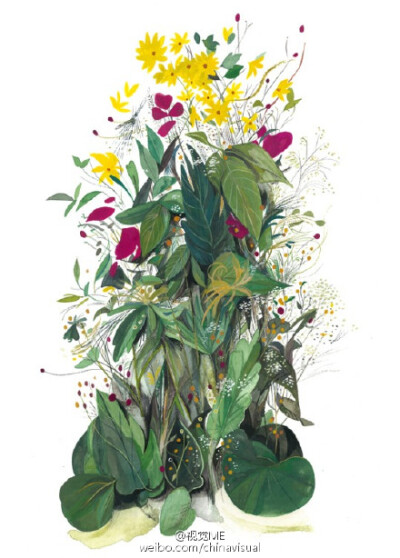 美国插画家Jon Lau创意植物 O网页链接