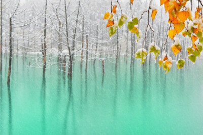 【日本北海道美瑛川间如诗般的风景画 | 摄影师 Kent Shiraishi】