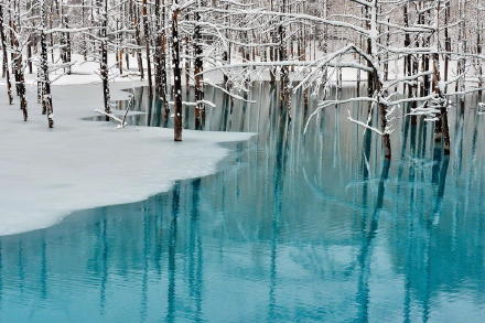 【日本北海道美瑛川间如诗般的风景画 | 摄影师 Kent Shiraishi】