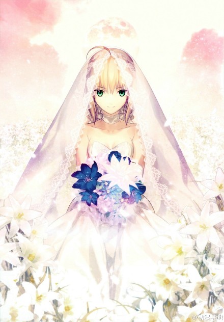 aniplex 婚纱saber，吾王美如画 美哭了