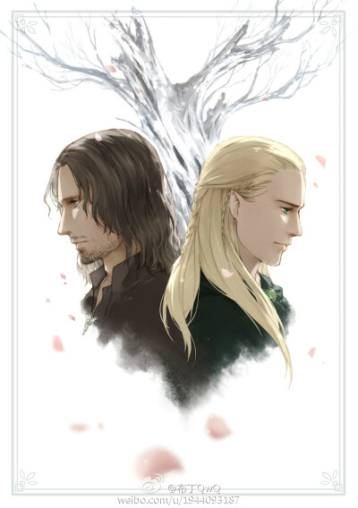 阿拉贡 莱戈拉斯 Aragorn Legolas @布丁_我想换个昵称