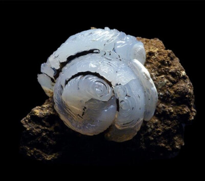 Opal 蛋白石 （交代Helix ramondi蜗牛化石） 产地：Dallet, Puy-de-Dôme, Auvergne, France
