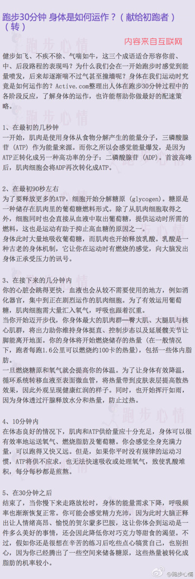 【当我们跑步时，我们的身体在忙什么？】看看你的身体在开跑前30分钟里，经历了哪些神奇体验。告诉你跑步为什么最好坚持30分钟以上。