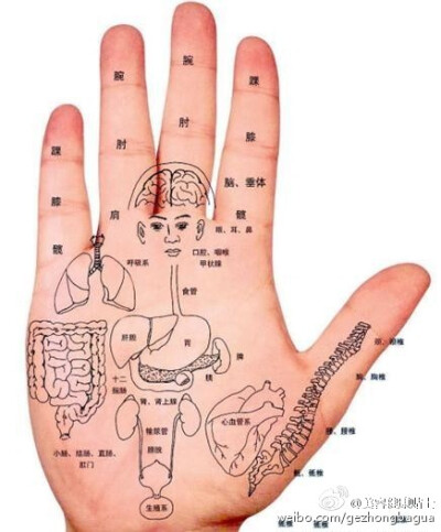 很多人都知道，足底有很多的穴位，经常泡脚可以养生，孰不知，手掌上也有很多穴位，而且连接有很多的经络，因此，要想身体健康，多拍拍手。中医有全息的理论，认为在足部或手都可以相对应某个反射区。人的手背对应的…