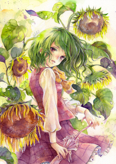白昼花