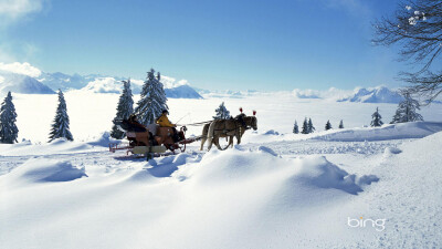 雪是一种能够令人产生多种情绪的东西，特别是在一场大雪后的森林中，大地被雪花装饰得像铺上白色的地毯一样的时候，漫天的白色让人仿佛置身于梦境。今日小编又来为大家送上一组冬季清新唯美雪景桌面壁纸，希望能让你…