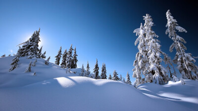 雪是一种能够令人产生多种情绪的东西，特别是在一场大雪后的森林中，大地被雪花装饰得像铺上白色的地毯一样的时候，漫天的白色让人仿佛置身于梦境。今日小编又来为大家送上一组冬季清新唯美雪景桌面壁纸，希望能让你…