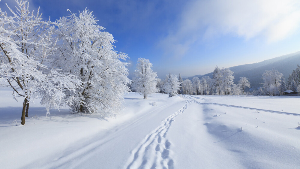 雪是一种能够令人产生多种情绪的东西，特别是在一场大雪后的森林中，大地被雪花装饰得像铺上白色的地毯一样的时候，漫天的白色让人仿佛置身于梦境。今日小编又来为大家送上一组冬季清新唯美雪景桌面壁纸，希望能让你每天开启电脑的时候心情愉快。