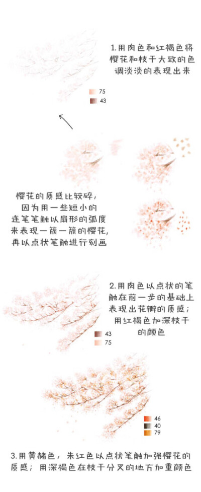 【绘画教程】樱花被看作是春天的化身， 是花的神灵，在这樱花漫舞的美丽景致中，两只猫咪显得格外悠然自得，回头张望的那只你看哪呢？ 5