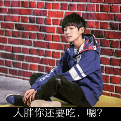 #王源表情包#分享一组 高贵冷艳的 表情包 @TFBOYS-王源 源哥 【递