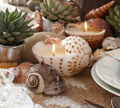 coastal shell candles