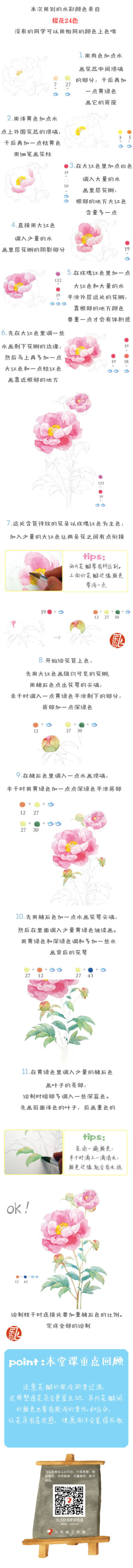 【绘画教程】情有所钟的芍药花，开在枝头，美丽芬芳。3