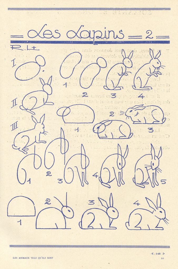How to draw bunnies - french art tutorial