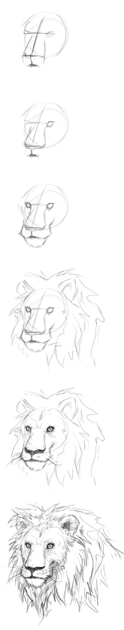 How to draw lion's head