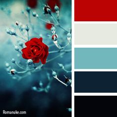 Navy blues, cream and red. Very striking color pallet. Would be fantastic for a wedding or other party décor.