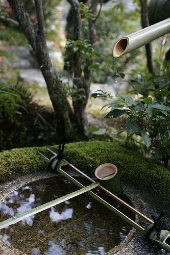 逐鹿，蹲踞。日式庭院