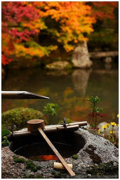 逐鹿，蹲踞。日式庭院